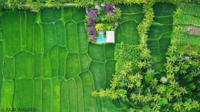  Hati Padi Cottages  Убуд